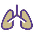 Asthma Allergy